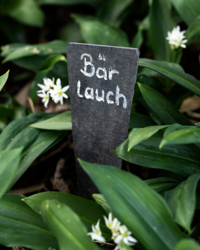 Die Gartenschöpferei