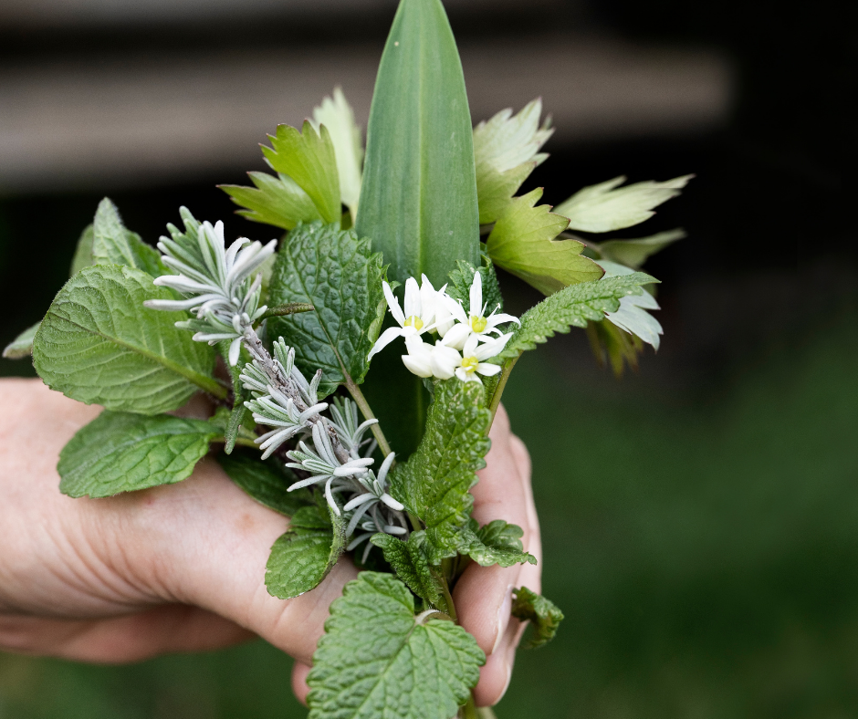 Die Gartenschöpferei - Tipps und Trends